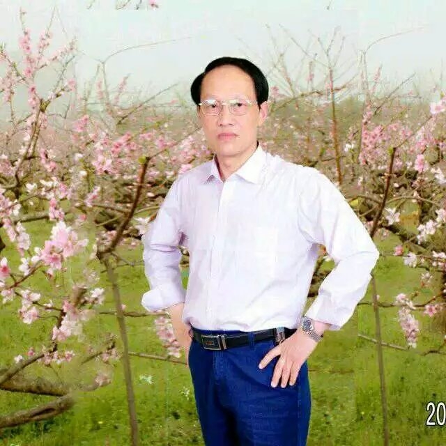 枫叶的第一张照片--淮安相亲服务中心