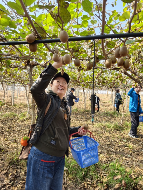 夜莺的第三张照片--淮安相亲服务中心